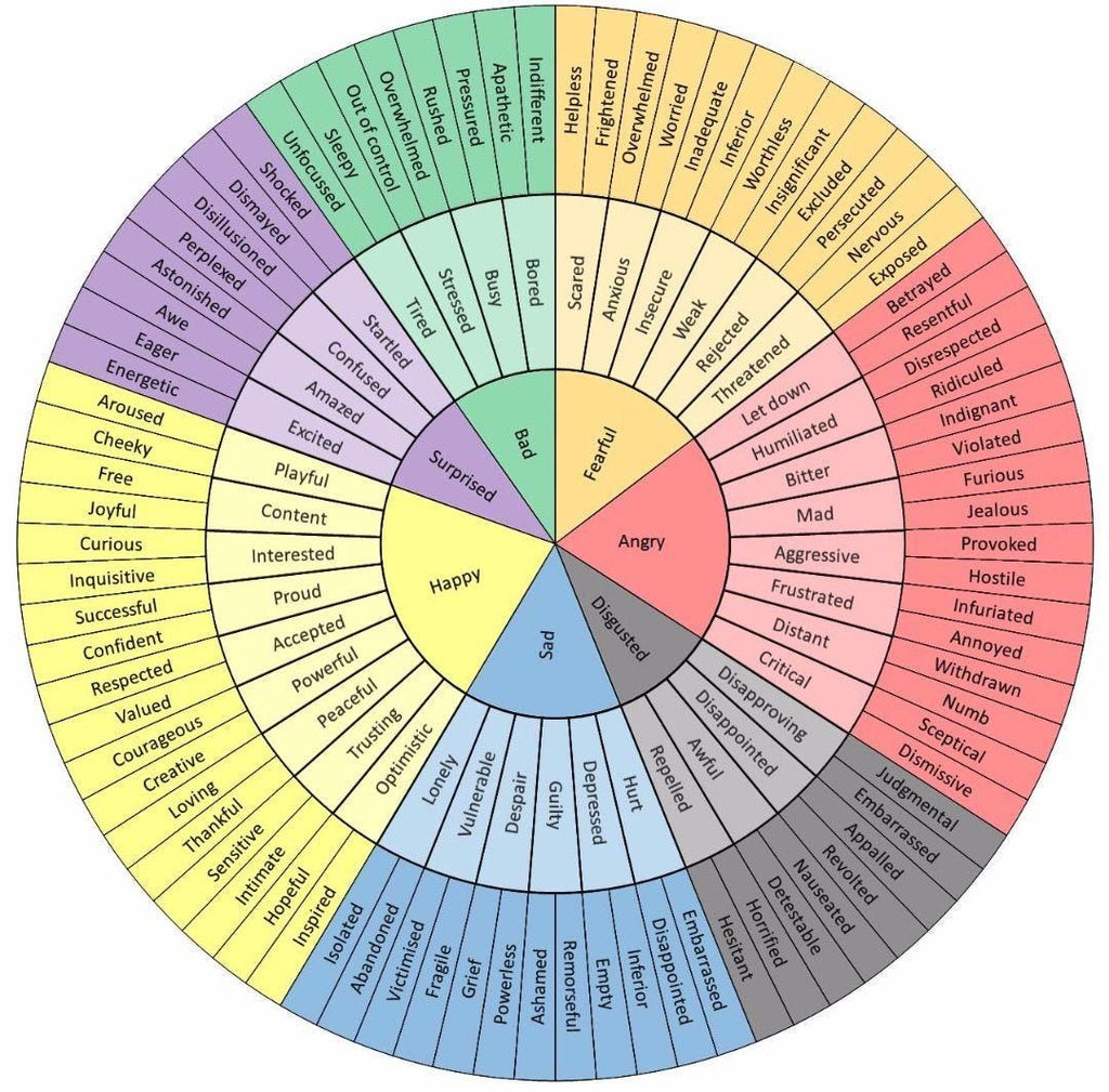 Emotion Detectives (Interactive Emotional Intelligence Ebook)