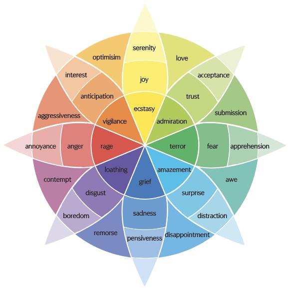 Emotion Detectives Interactive Emotional Intelligence Ebook