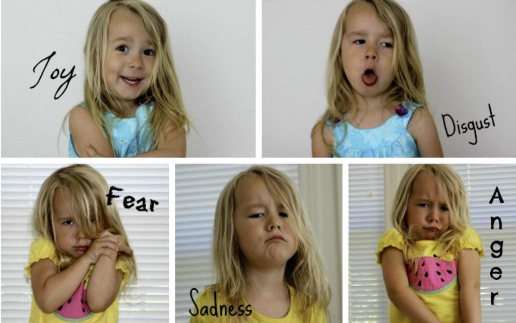 Emotion Detectives (Interactive Emotional Intelligence Ebook)