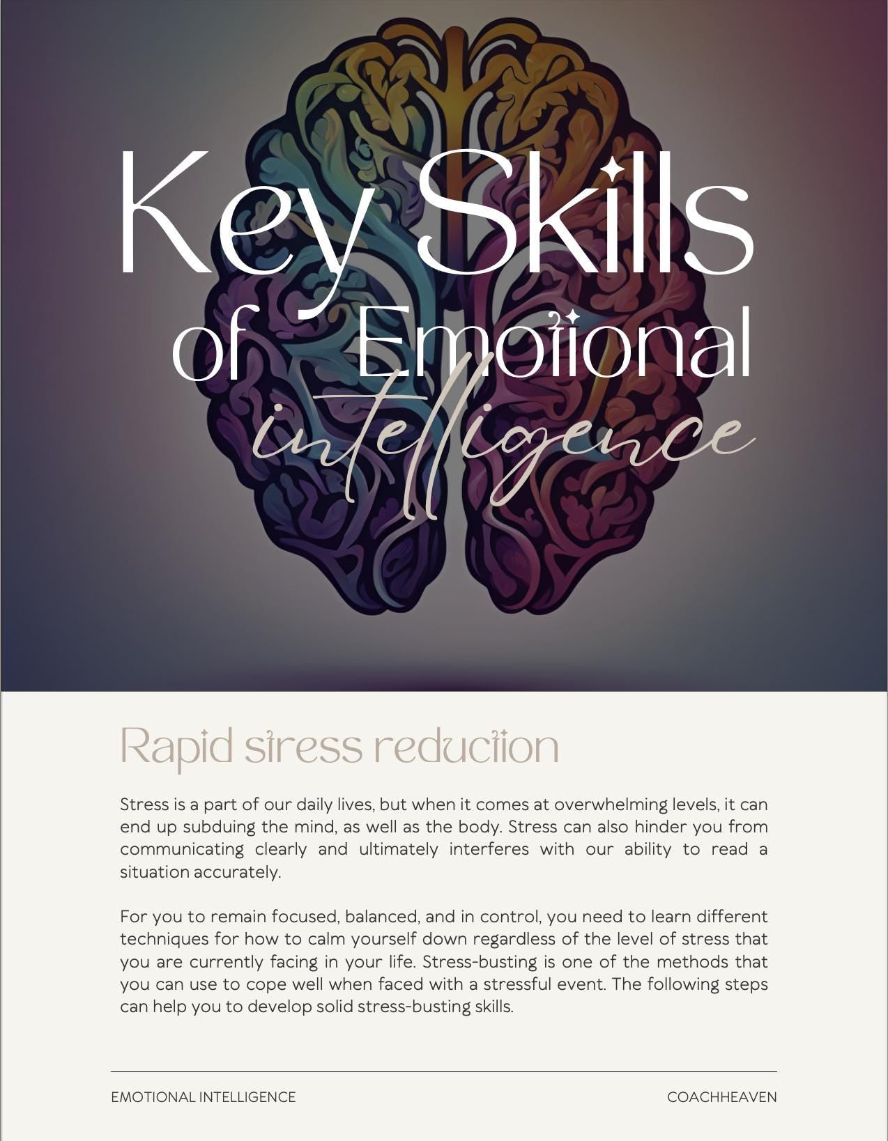 Cover of a book titled 'Key Skills of Emotional Intelligence' with a brain illustration on a gradient background.