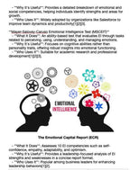 Informational text about emotional intelligence tests and reports on a white background