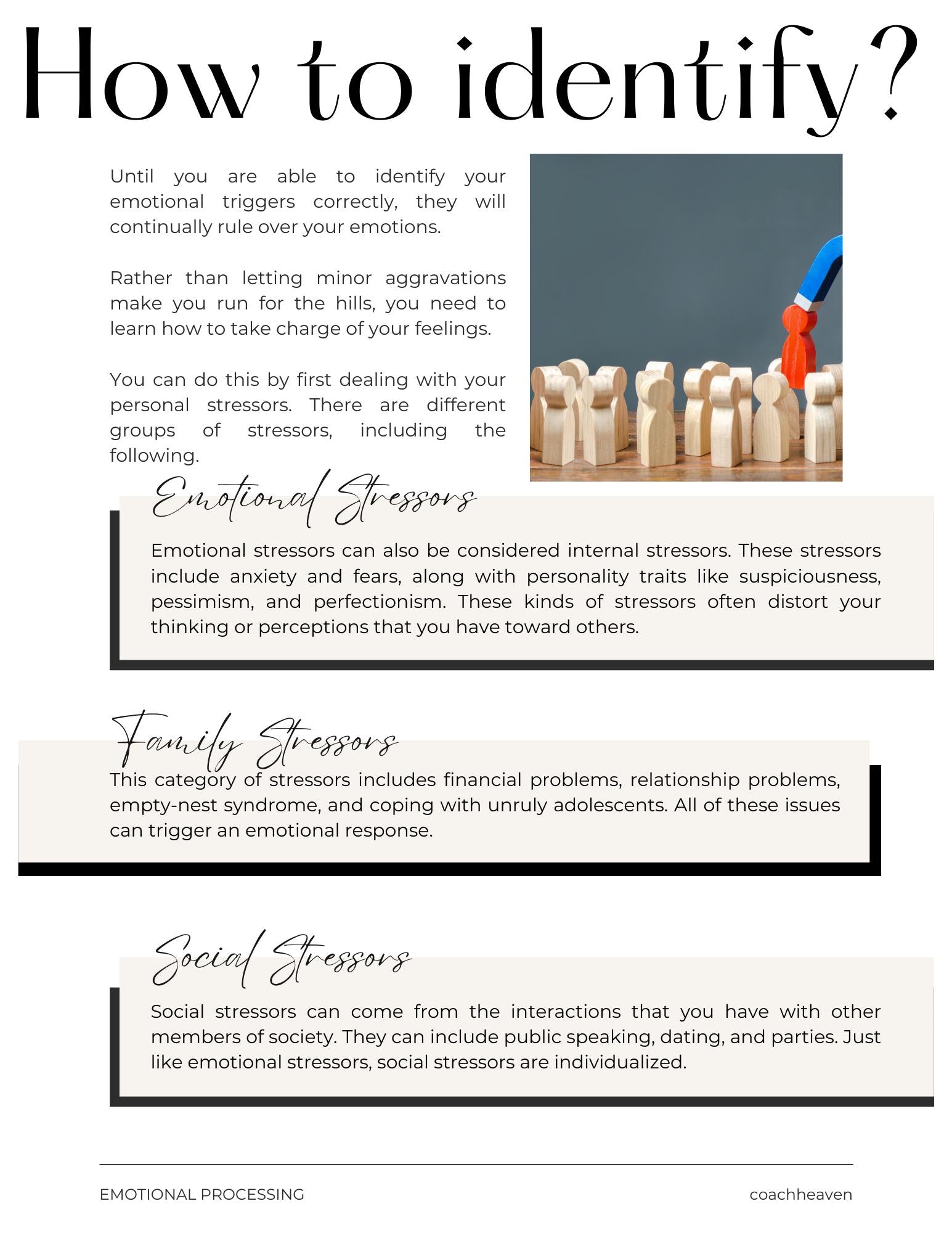 Processing Emotions Guide & Workbook for Parents